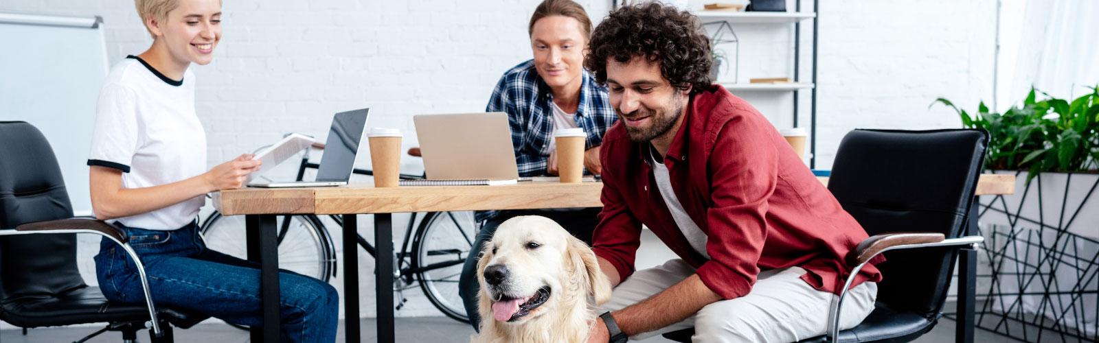 Young professionals in pet-friendly office