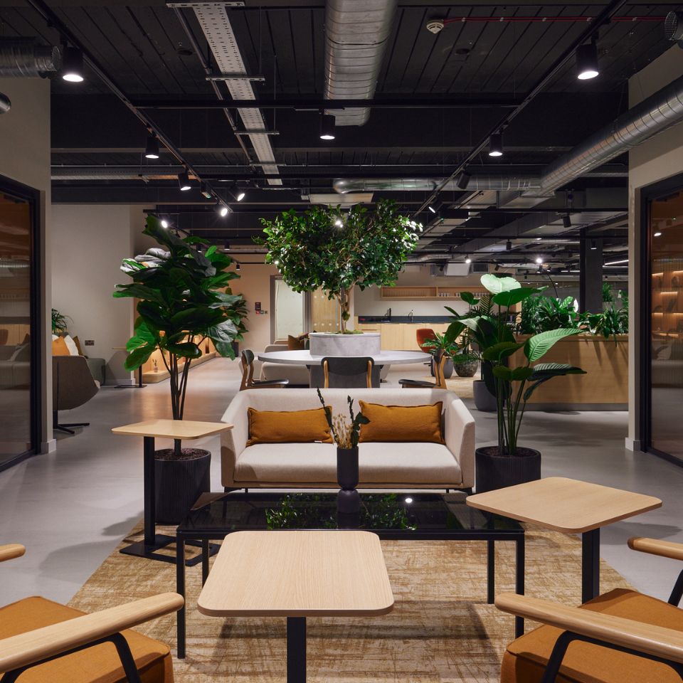 Benefits of an office refurbishment with biophilic design