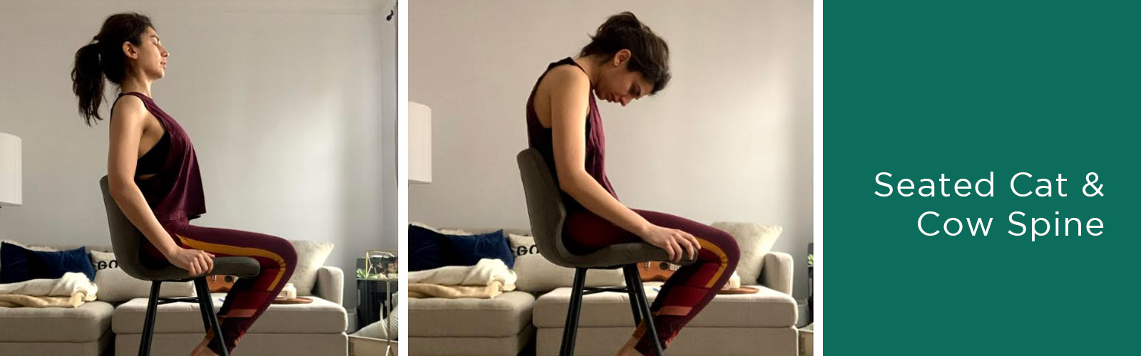 How to do desk yoga seated cat cow spine for sore back and neck