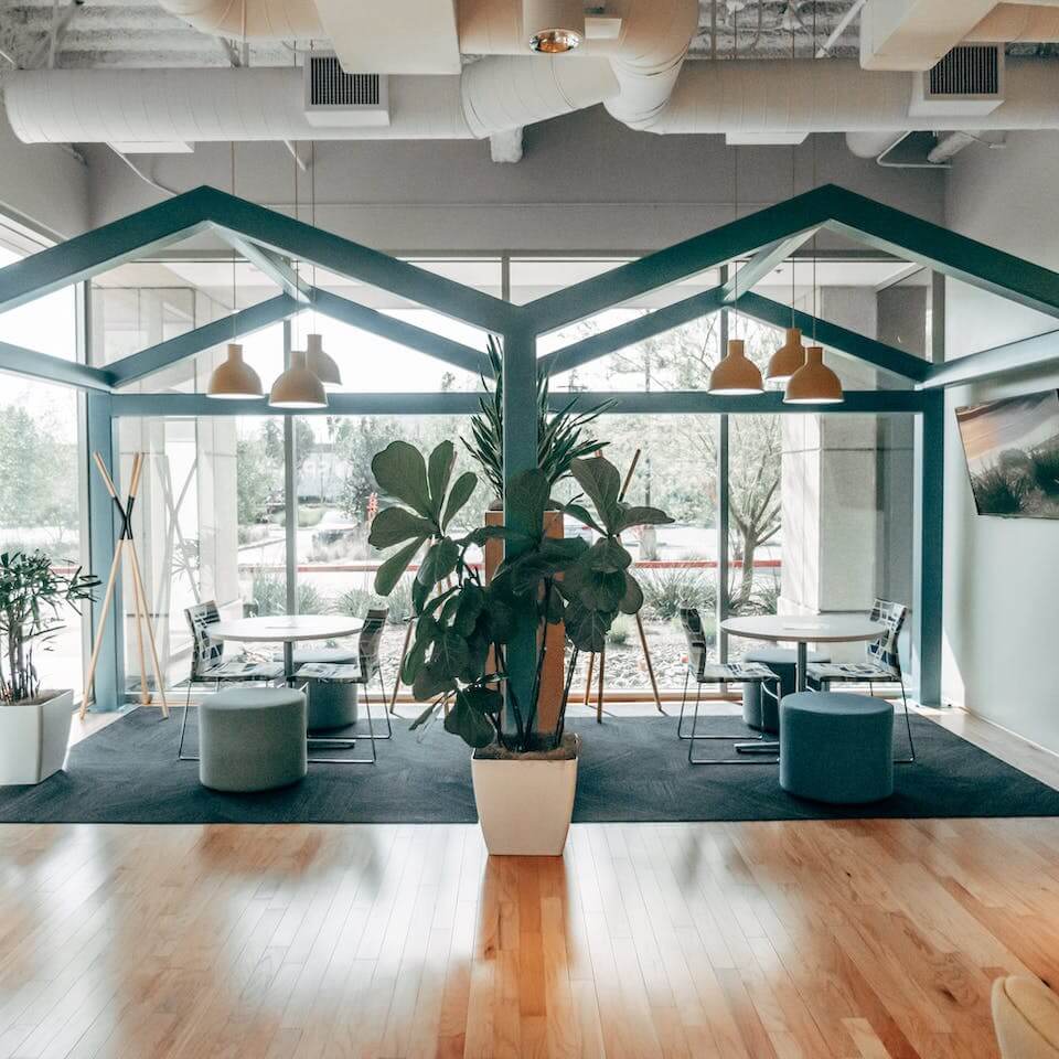 Modern office with green house-style frames with furniture inside, wooden flooring, indoor plants and natural light