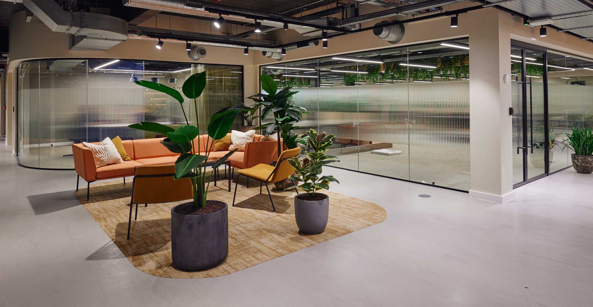 Modern office space with glass walls, grey flooring, orange soft seating and indoor pot plants
