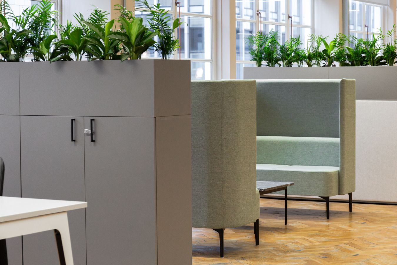 Privacy breakout booths for collaboration in biophilic office with wooden flooring