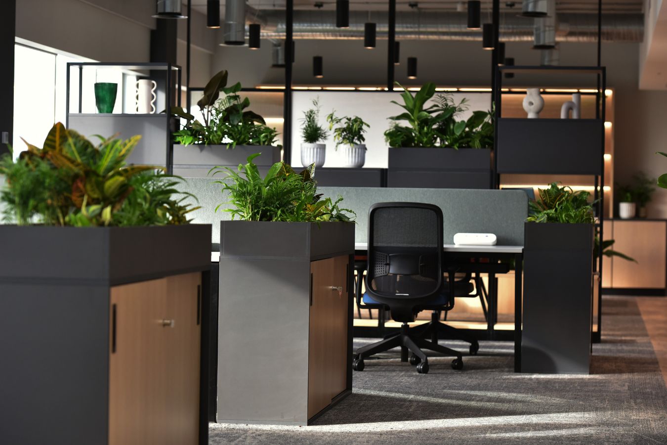 Modern ornaments decorated sparsely around biophilic office