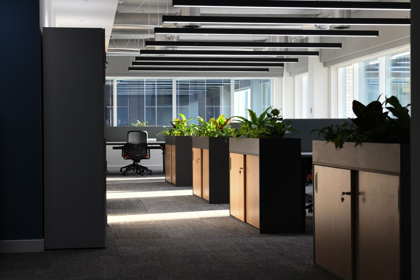 Storage cupboards with plants in modern office beside clusters of desks